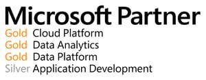 Microsoft_Partner_Logo.jpg